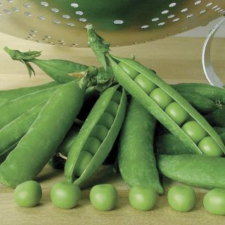 Premium Peas Thumbnail